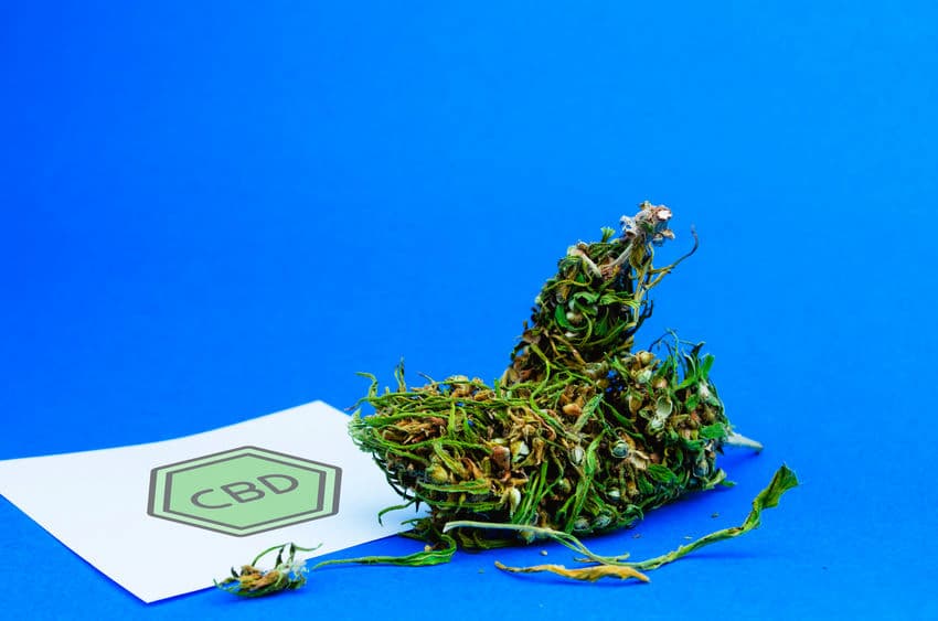 Comment choisir le CBD pour une consommation à but thérapeutique ?