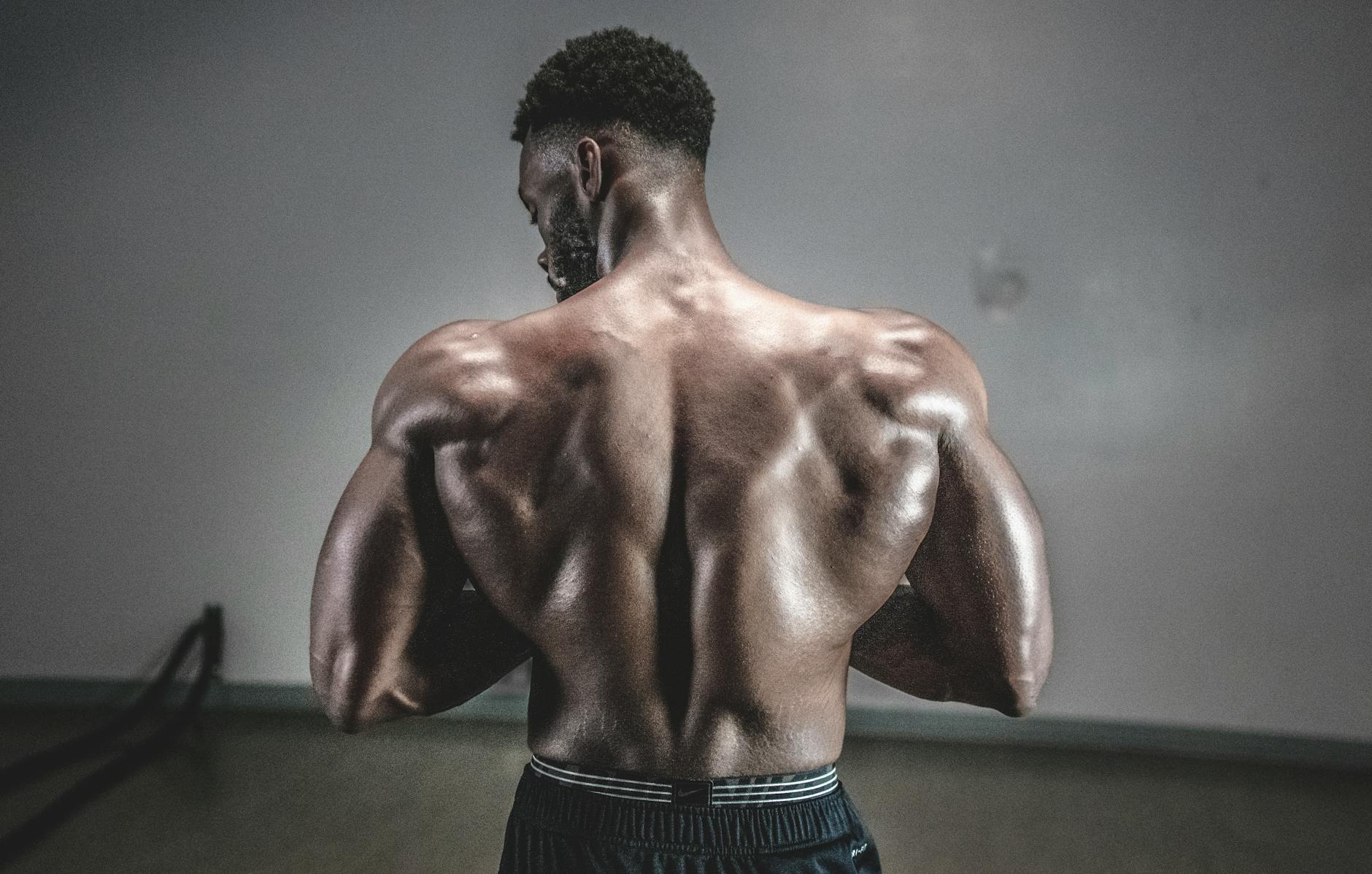 Rameur et muscles : tout ce que vous devez savoir